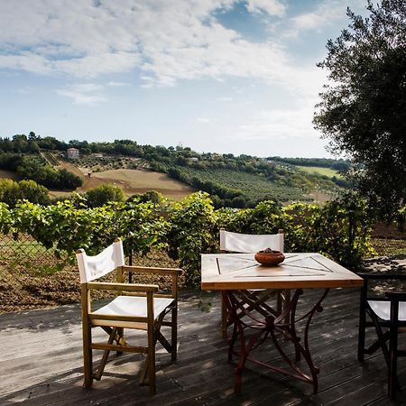B&B Il Cavallino Чивитанова-Альта Экстерьер фото