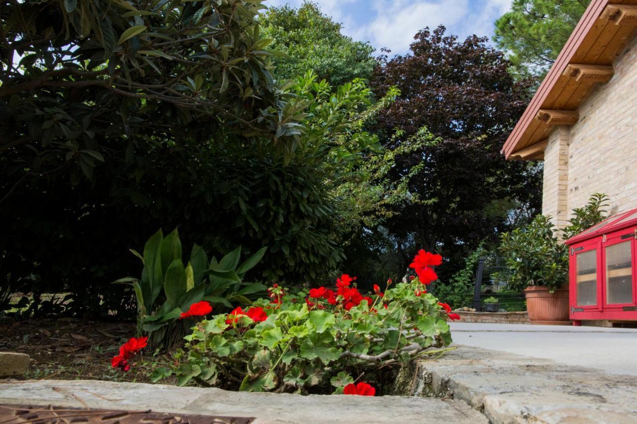 B&B Il Cavallino Чивитанова-Альта Экстерьер фото
