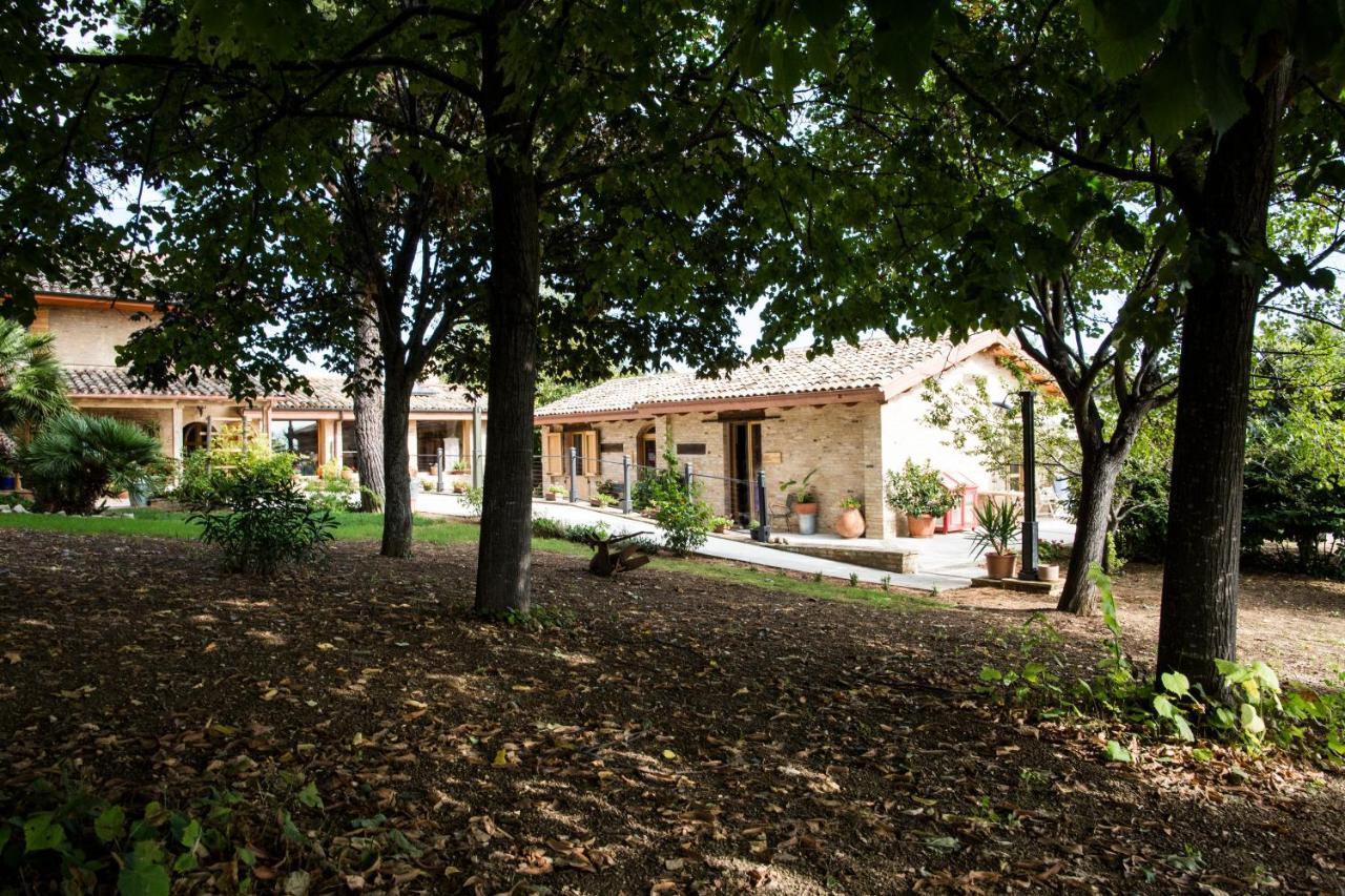 B&B Il Cavallino Чивитанова-Альта Экстерьер фото