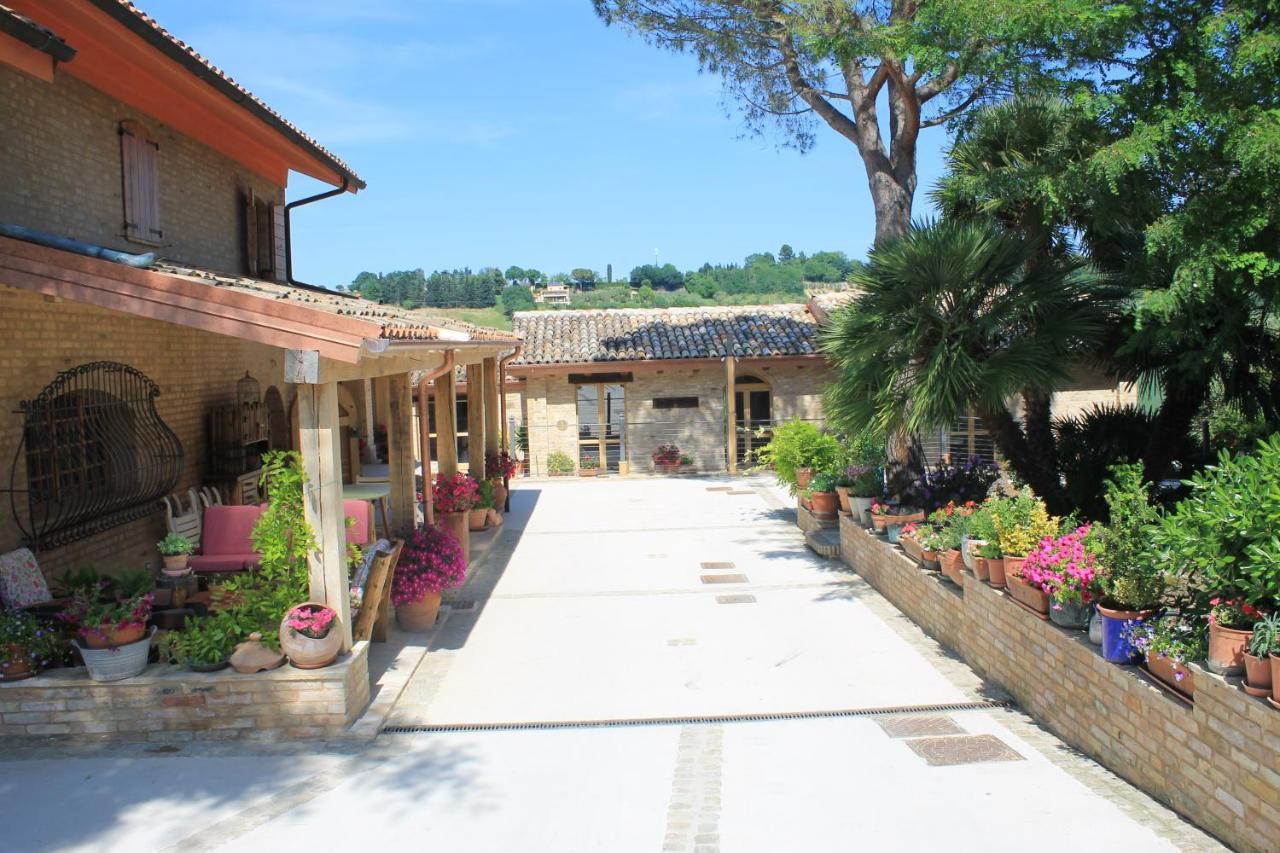 B&B Il Cavallino Чивитанова-Альта Экстерьер фото