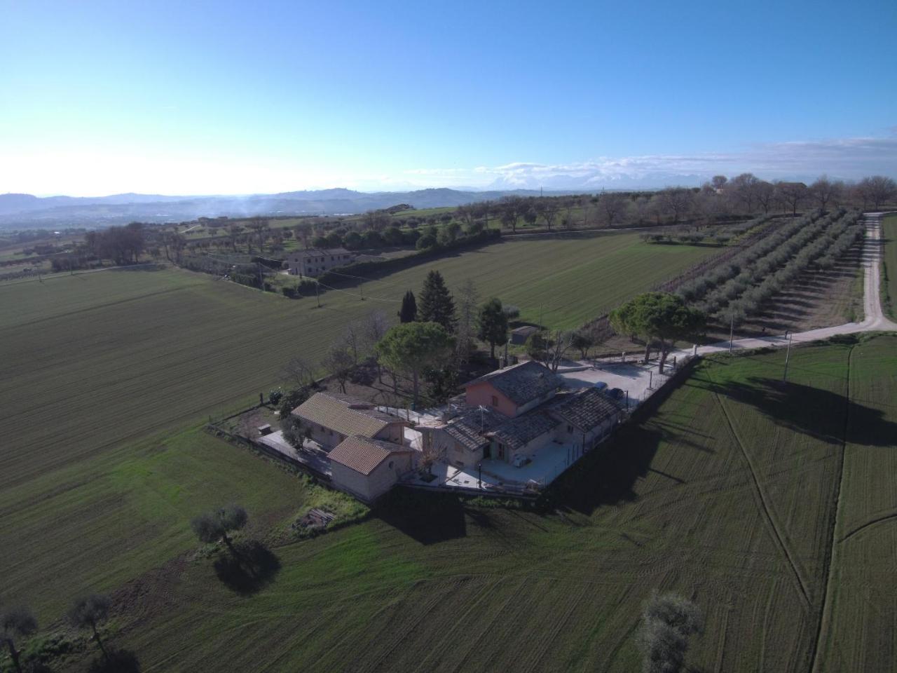 B&B Il Cavallino Чивитанова-Альта Экстерьер фото