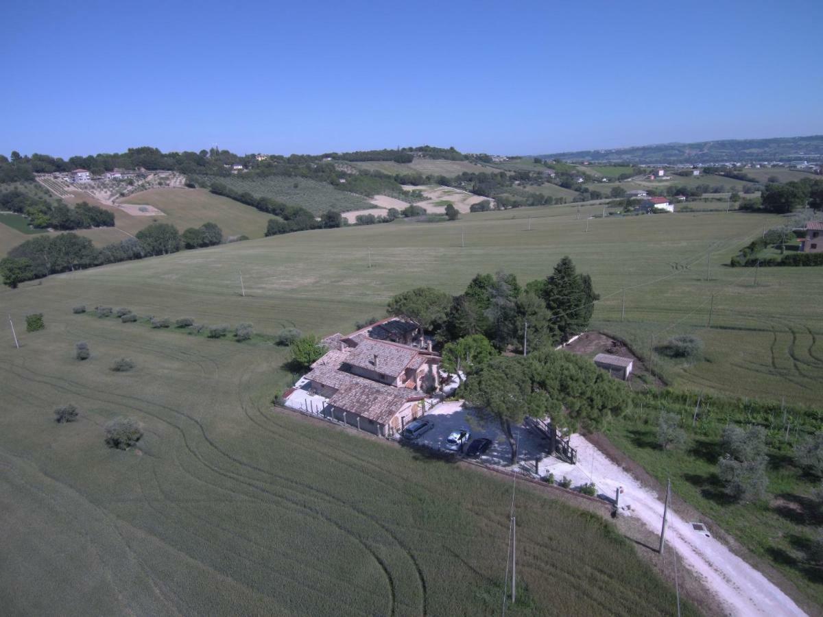 B&B Il Cavallino Чивитанова-Альта Экстерьер фото