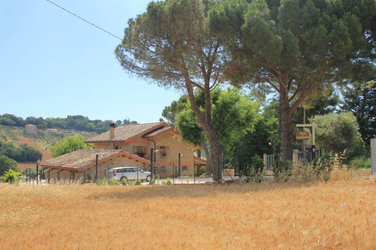 B&B Il Cavallino Чивитанова-Альта Экстерьер фото